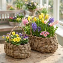Article Panier à plantes avec anse panier à fleurs L23/35cm lot de 2