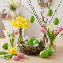 Article Oeufs de poule 5,5 cm - 7 cm vert 10 pcs