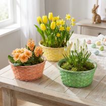 Article Panier à plantes rond Ø25cm orange, jaune, vert 6 pcs