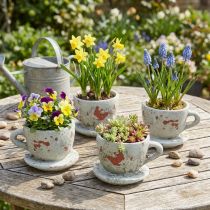 Article Cache-pot et soucoupe vintage gris, ton naturel Ø8cm H6,5cm 4 pcs