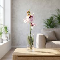 Article Orchidée artificielle phaleanopsis blanc, violet 43cm