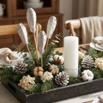 Article Gousses d'acajou décor sec blanc naturel 45cm 50 pcs