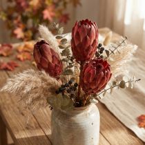 Article Grandiceps rouge 25 pcs