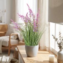 Article Plante décorative à fleurs délicates pour une décoration de chambre élégante 67 cm