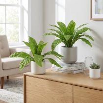 Article Fougère nid d'oiseau Plante verte artificielle 5,5×22 cm 2 pcs