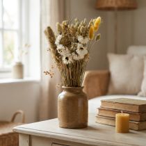 Article Bouquet de fleurs séchées fleurs de paille Phalaris blanc jaune 30cm