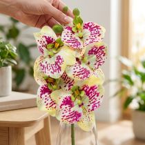 Article Branche d'orchidée artificielle Phaelaenopsis vert rose H49cm