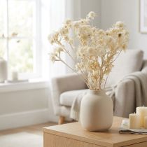 Article Branche de Chardon Fleur Séchée Blanchie 80g