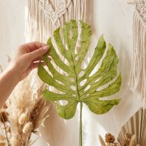 Article Feuilles décoratives de Monstera pour une décoration bohème et jungle urbaine
