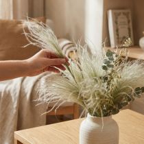 Article Fleurs séchées déco plume herbe herbe sèche nature 50g