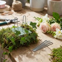 Article Épingles de lierre 80 mm Épingles de fleuriste galvanisées 400 g