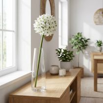 Article Fleur décorative Allium, boule artificielle poireau, oignon décoratif blanc Ø20cm L72cm