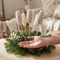 Article Luffa petit sur bâton blanchi à la chaux 25 pcs