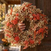 Article Couronne décorative fleurs séchées couronne de fleurs orange crème Ø25cm