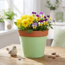 Article Ruban feutre pour pot vert clair 15cm 5m