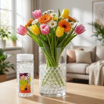 Article Aqualinos Aqua Pearls Perles d'eau décoratives pour plantes transparentes 15-18 mm 500 ml