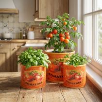 Article Ensemble de 3 pots à tomates décoratifs en céramique pour la cuisine et un style rétro, 14 cm.