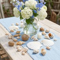 Article Coquilles d'escargots déco Escargots de mer nature Décoration maritime 350g