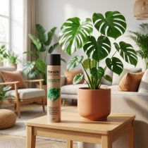 Article Oasis Floralife Leaf Shine Spray Éclat des Feuilles 750ml