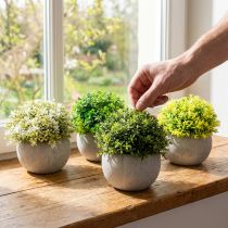 Article Plantes artificielles Buis artificiel 12,5cm×Ø12cm 4pcs