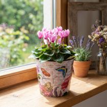 Article Pot de fleur pot de fleur en plastique Ø15,5 × H13cm