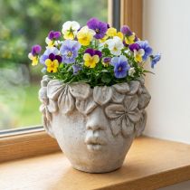 Article Tête de plante pot de fleurs aspect béton tête de fille H13,5cm