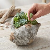 Article Pot de fleurs coquillage pierre gris antique maritime 22×18×13cm