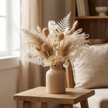 Article Platyspermum blanchi 25 pcs