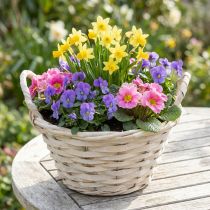 Article Panier avec anses Panier à copeaux Panier à plantes blanchi Ø18cm H12cm