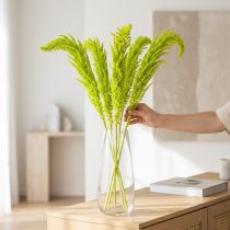 Article Fleurs séchées d'amarante teintées pour décoration intérieure raffinée et touches uniques, 100cm, lot de 5
