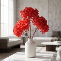 Article Hortensia décoratif : fleur séchée et préservée pour une décoration intérieure élégante