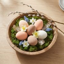 Article Oeufs de Pâques Floqués en Pêche Brun Blanc H6cm 24pcs
