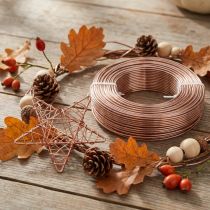 Article Fil d'aluminium Ø2mm fil d'aluminium fil artisanal marron clair 500g 60m