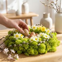 Article Mousse déco mousse de rennes vert clair stabilisée 400g