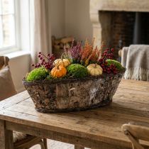 Article Bol à plantes panier à plantes vignes de bouleau panier décoratif 17×15×34cm
