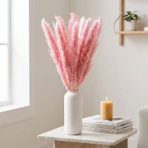 Article Laîche décorative rose sèche de la pampa 70 cm 10 pièces