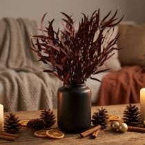 Article Branches d'eucalyptus préservées Rouge, marron 56 cm 135 g