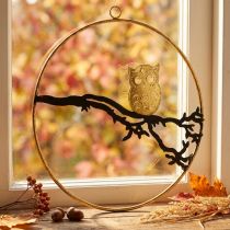 Article Décoration de fenêtre chouette sur branche automne, anneau décoratif métal 22cm