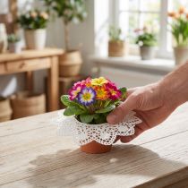 Article Poignets Biedermeier 18cm 25 pcs