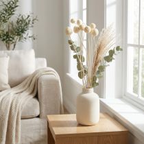 Article Fleurs de Craspedia séchées, tiges blanchies, 60 cm, 10 pièces