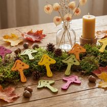 Article Champignons de décoration épars, décoration d'automne, champignons porte-bonheur pour décorer orange, jaune, vert, rose H3,5/4cm L4/3cm 72 pièces