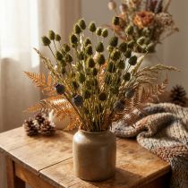 Article Décoration séchée en chardon-fraise, vert olive, Ø 1–2 cm, L 55 cm, 100 g