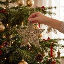 Article Décoration de Noël en forme d'étoile 25,5 cm dorée - Lot de 4