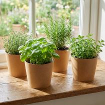 Article Jardinière, cache-pot, jardinière en papier naturel Ø15cm H13cm 4pcs