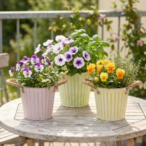 Article Seau à planter, jardinière avec poignées, décoration en métal rose/vert/jaune style shabby chic Ø16,5 cm H15 cm, ensemble de 3 pièces