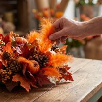 Article Plumes courtes 30g Orange