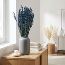 Article Fleurs séchées, avoine décoration grains séchés bleu 68cm 230g