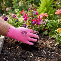 Article Gants de jardin Kixx taille 8 rose, rose