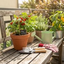 Article Ensemble d'outils de jardin comprenant un râteau à main en acier inoxydable, une pelle à main et des tuteurs de jardin ; une idée cadeau pour les passionnés de jardinage.