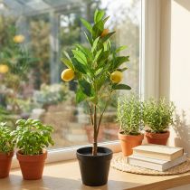 Article Citronnier artificiel en pot, décoration méditerranéenne, plante de citron artificiel, H58cm